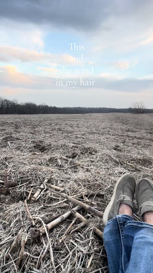 Post 6 by Iowa_Farm_Mama on TikTok (video)