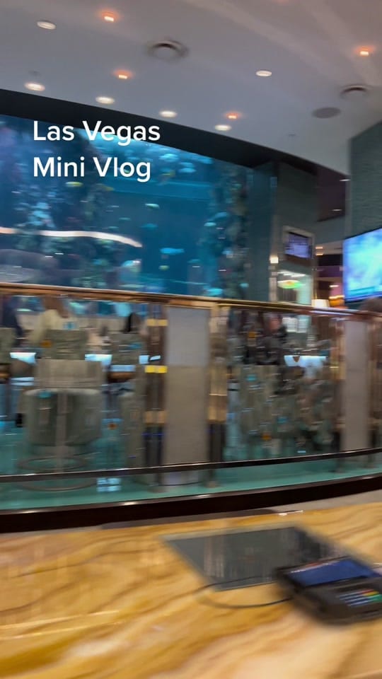 Post 9 by Alex Ramirez on TikTok (video)
