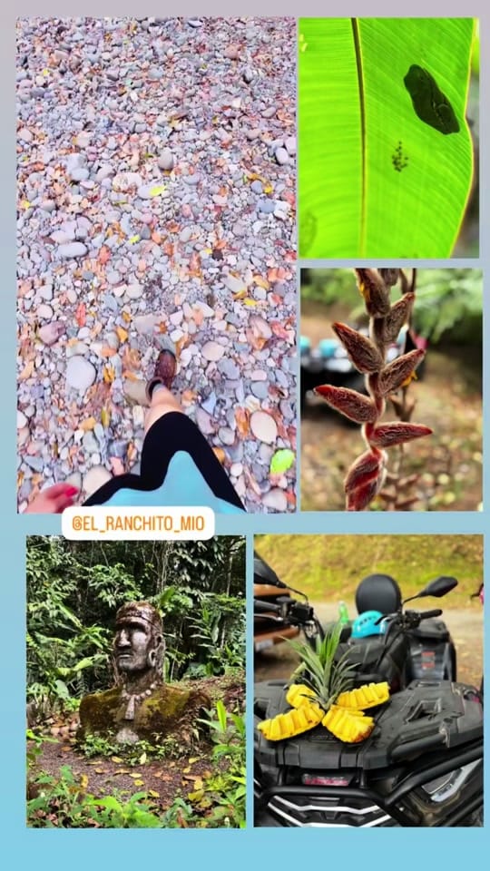 Post 2 by Tikatok506 on TikTok (video)