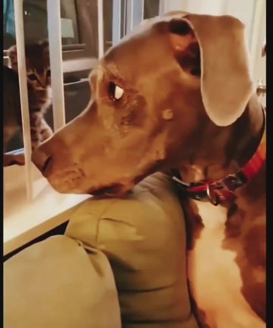 Post 9 by Abi-junior on TikTok (video)