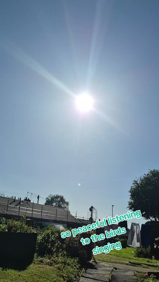 Post 3 by queen_of_stomas on TikTok (video)