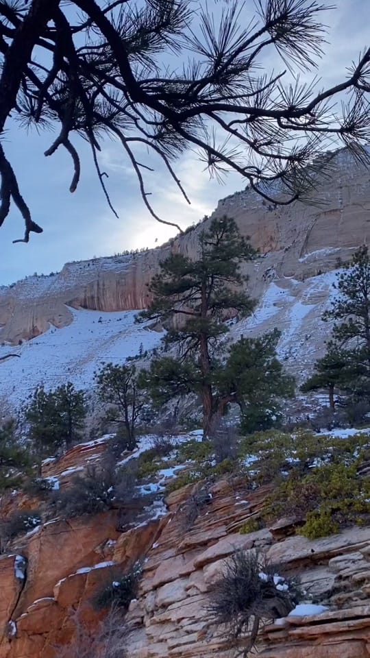 Post 10 by Tyler N on TikTok (video)