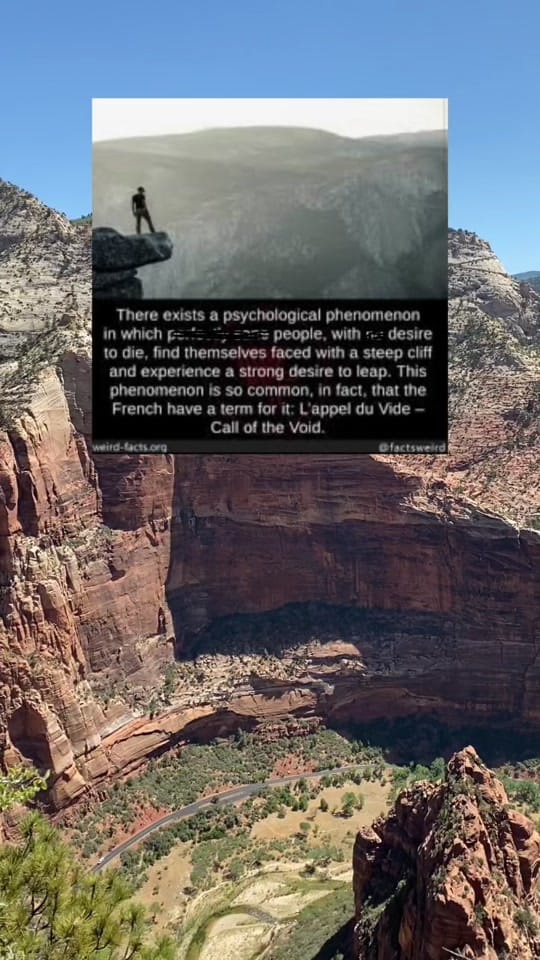 Post 1 by Tyler N on TikTok (video)