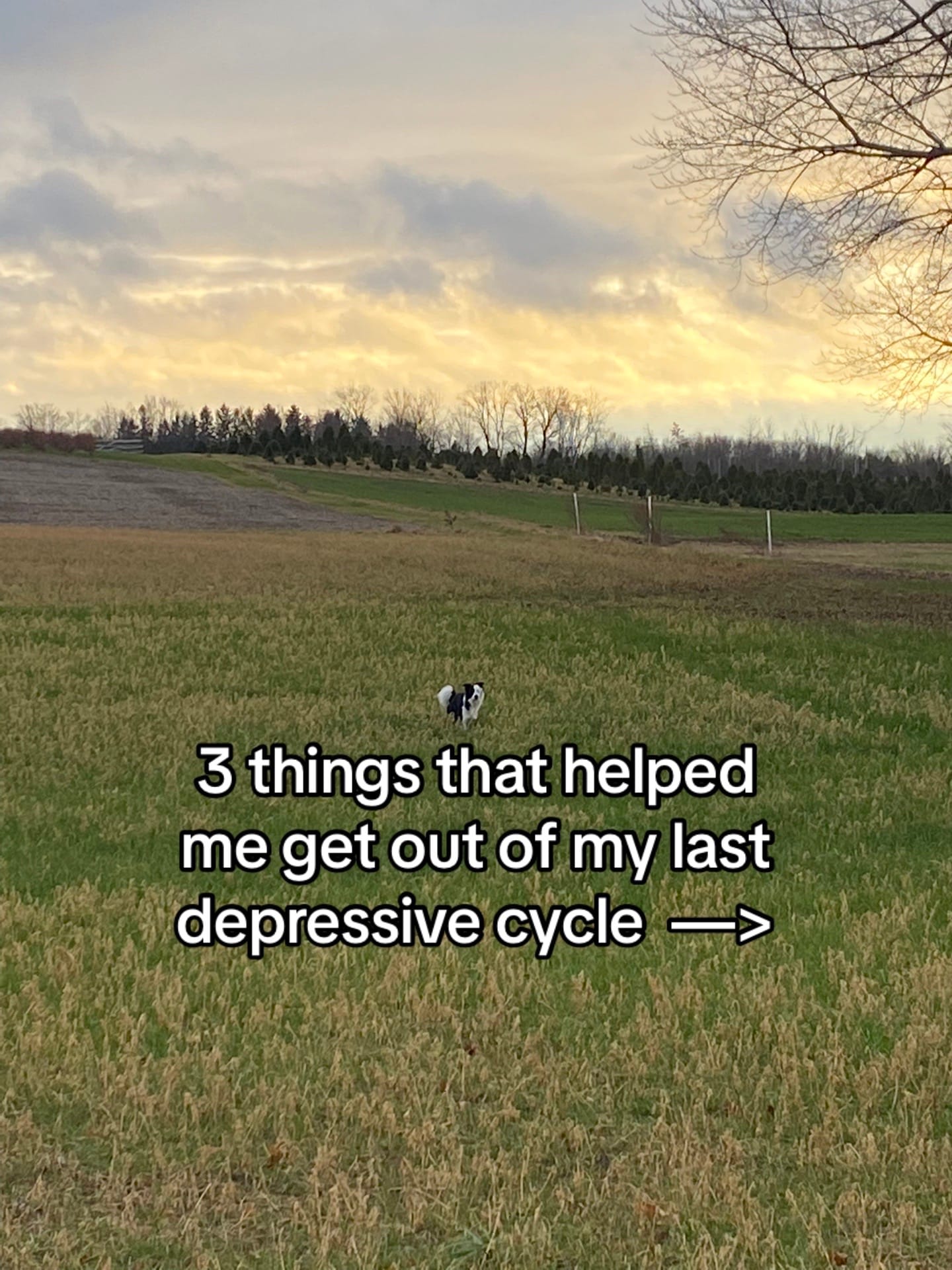 Post 9 by Johno Proper on TikTok (video)