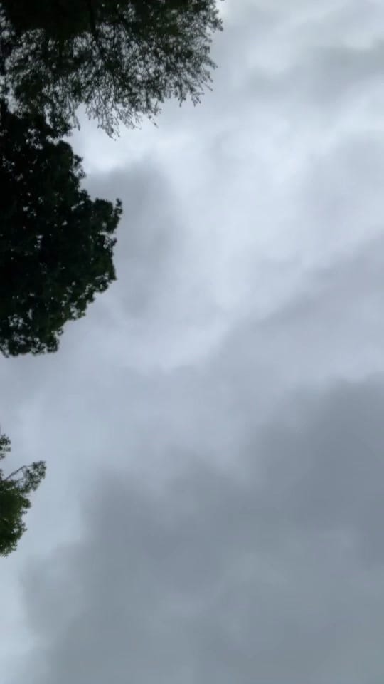 Post 6 by Jessica Morrison 💖 on TikTok (video)