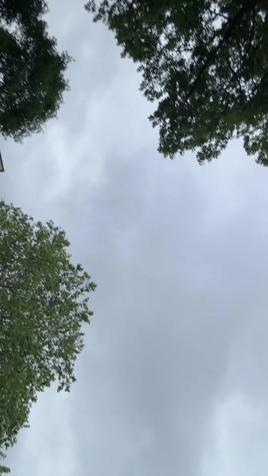Post 1 by Jessica Morrison 💖 on TikTok (video)