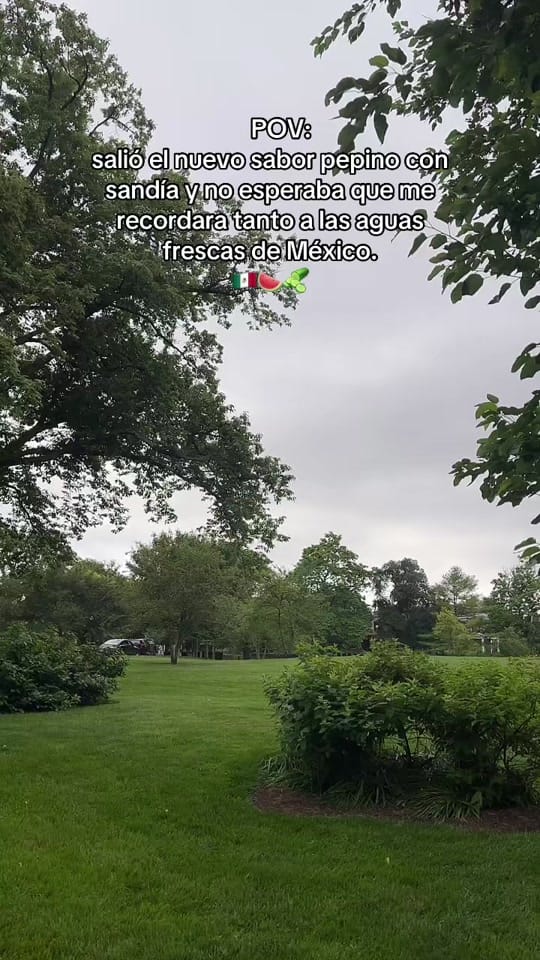 Post 4 by Jessica Morrison 💖 on TikTok (video)