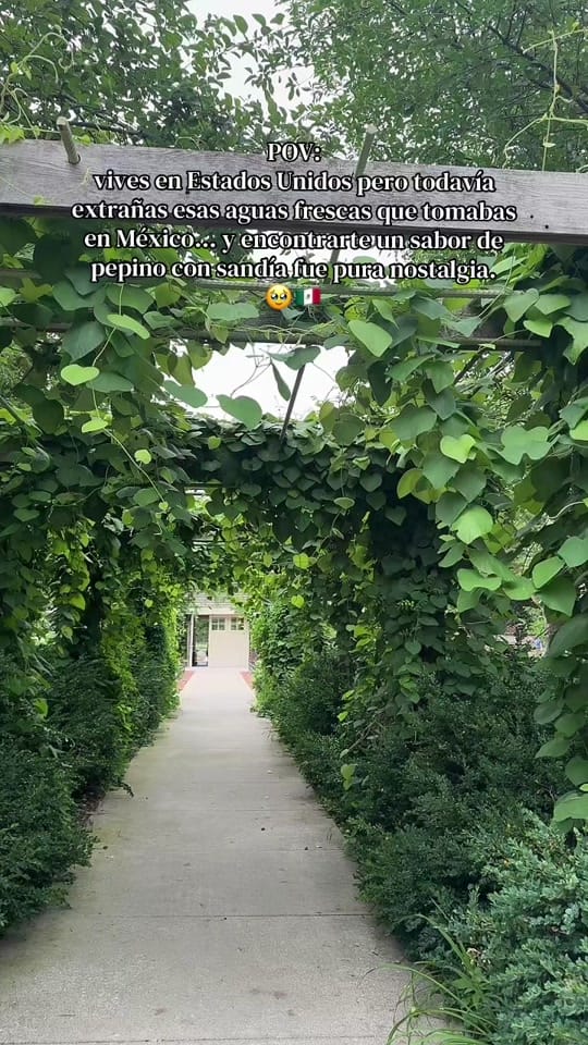 Post 9 by Jessica Morrison 💖 on TikTok (video)