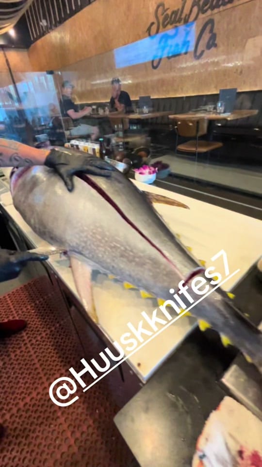 Post 6 by Sushidad79 on TikTok (video)