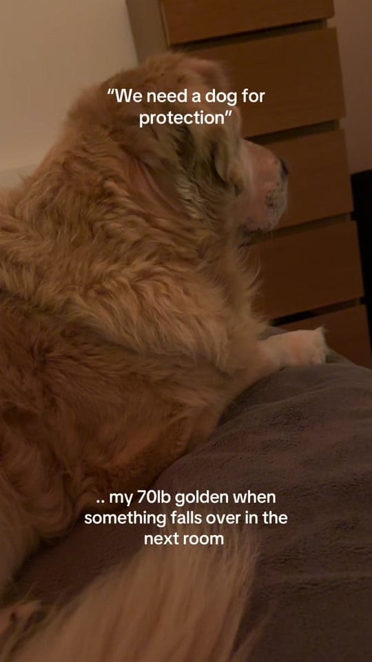 Post 8 by Maxime on TikTok (video)