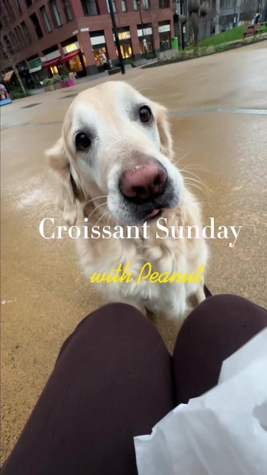 Post 5 by Maxime on TikTok (video)