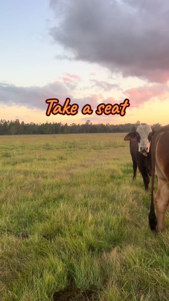 Post 2 by JW Agri-Hay Services, LLC. on TikTok (video)