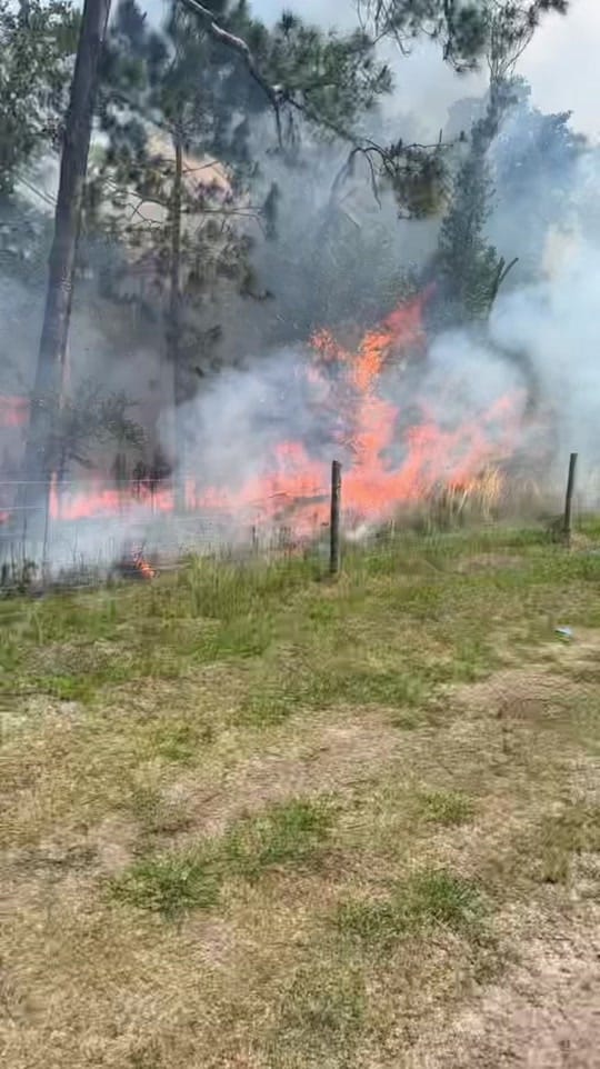 Post 6 by JW Agri-Hay Services, LLC. on TikTok (video)