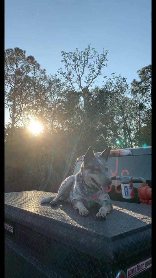 Post 1 by JW Agri-Hay Services, LLC. on TikTok (video)