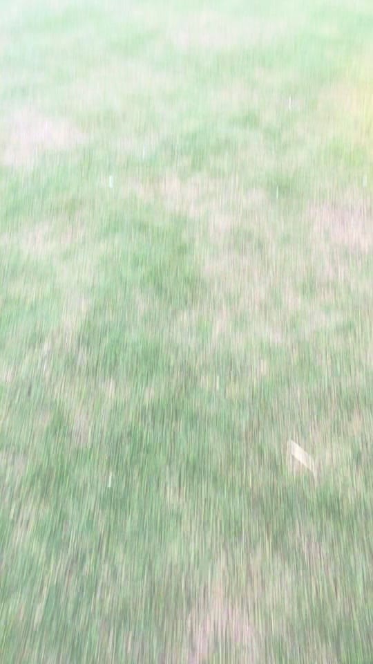 Post 4 by bobtok1993 on TikTok (video)