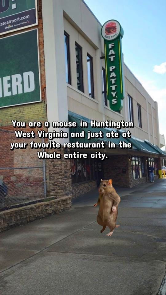 Post 5 by huntingtonwv on TikTok (video)