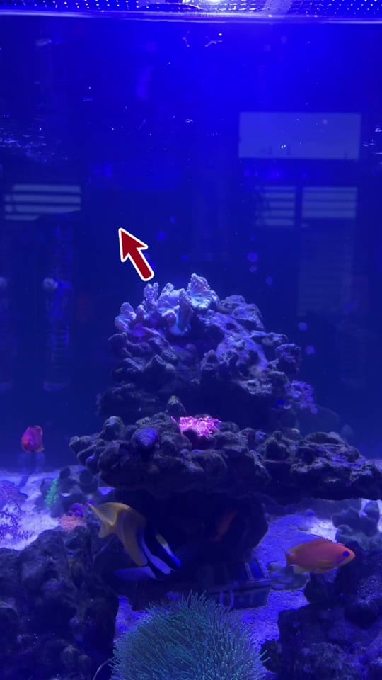 Post 5 by Mr. Title & Escrow on TikTok (video)