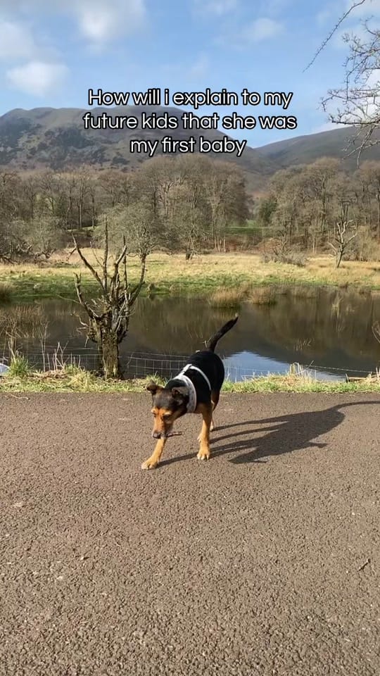 Post 9 by Jess MyLupusUnfiltered💜🦋 on TikTok (video)