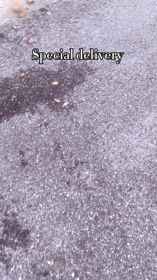 Post 8 by Antoine x on TikTok (video)
