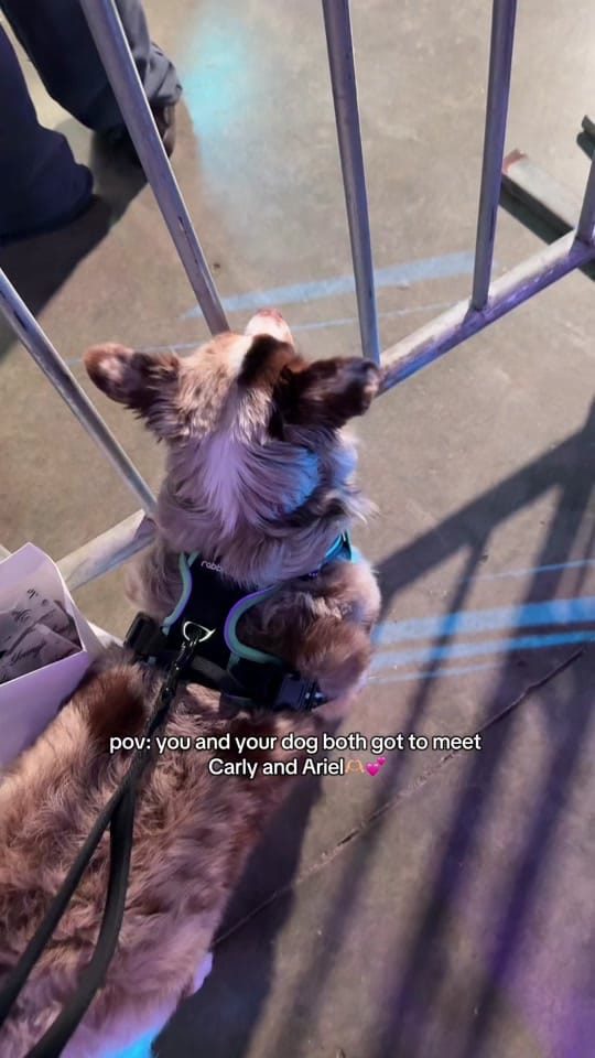 Post 9 by Abbylfitness on TikTok (video)