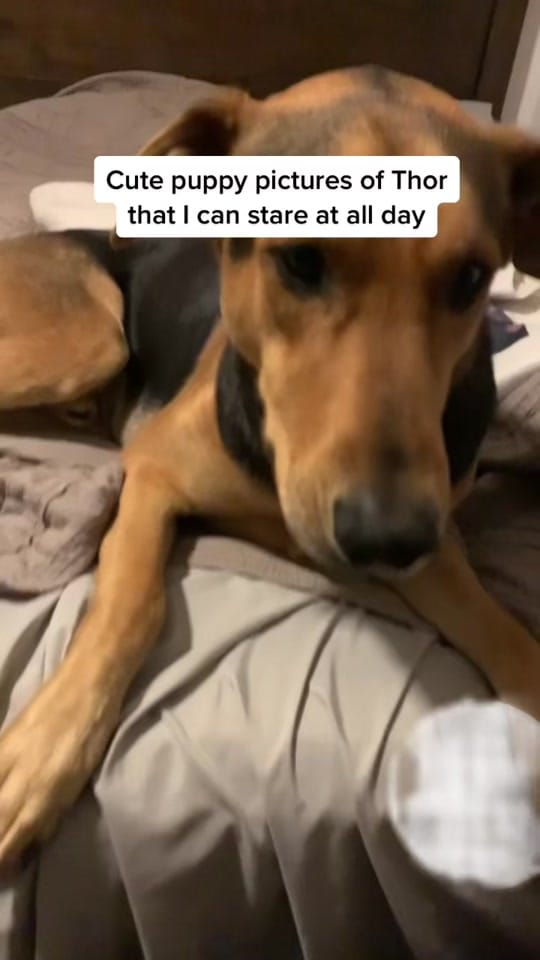 Post 5 by A-Aron on TikTok (video)
