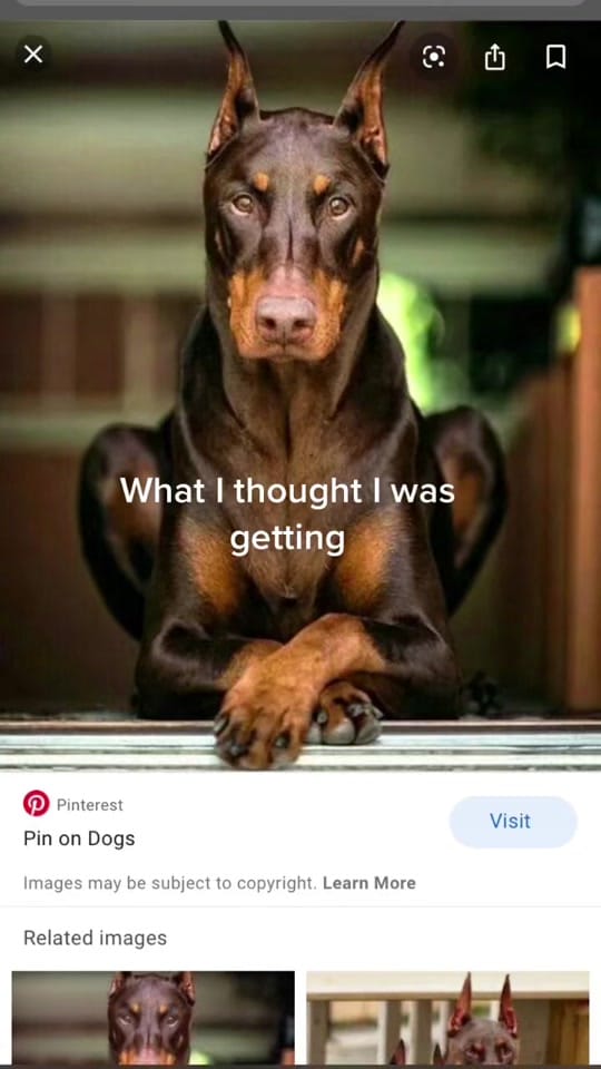 Post 6 by A-Aron on TikTok (video)