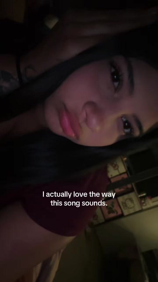 Post 2 by sceleste.lizarde on TikTok (video)