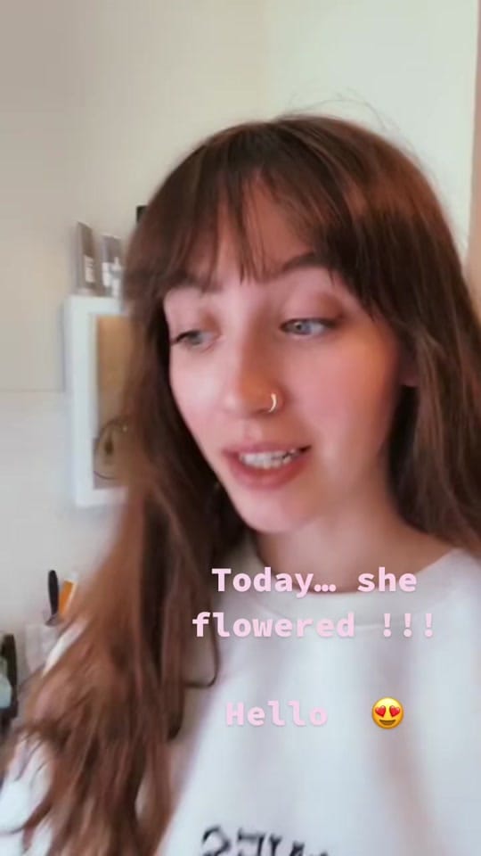 Post 8 by alainafaithk on TikTok (video)