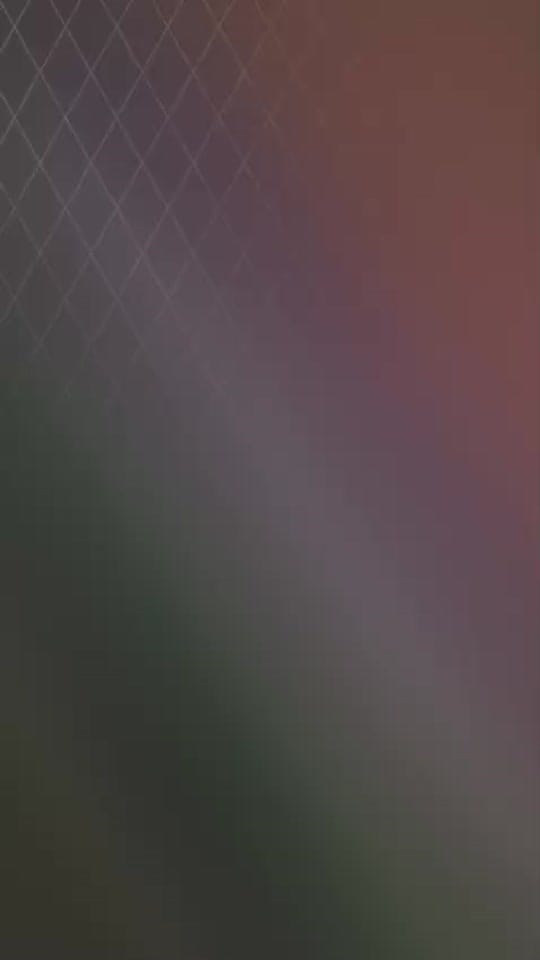 Post 10 by Jarbulldogs520 on TikTok (video)