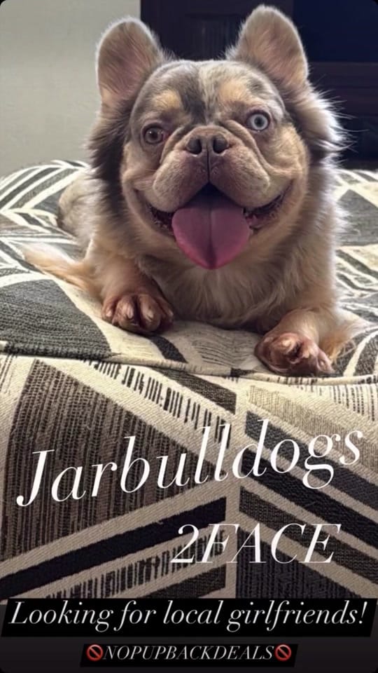 Post 9 by Jarbulldogs520 on TikTok (video)