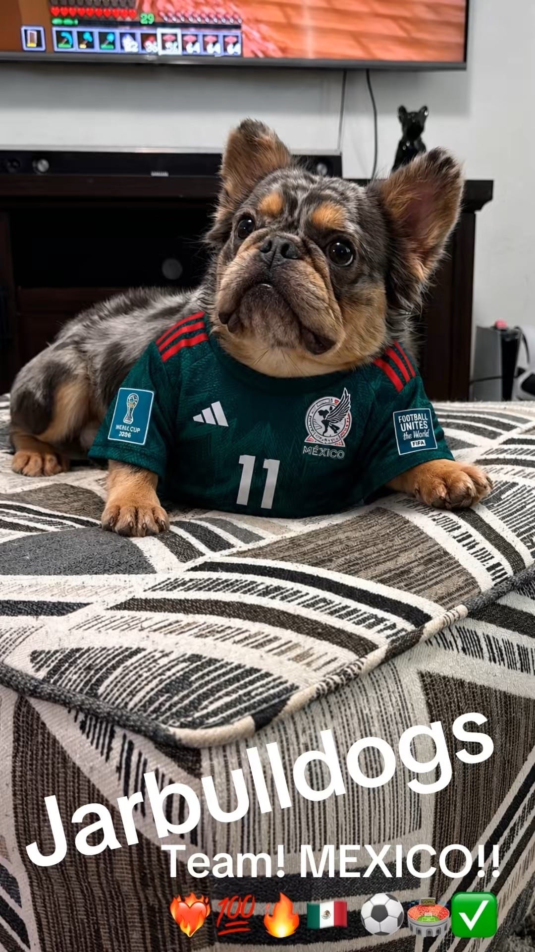 Post 3 by Jarbulldogs520 on TikTok (video)
