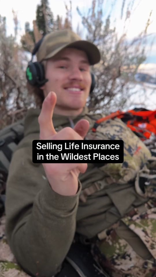 Post 2 by Scout on TikTok (video)