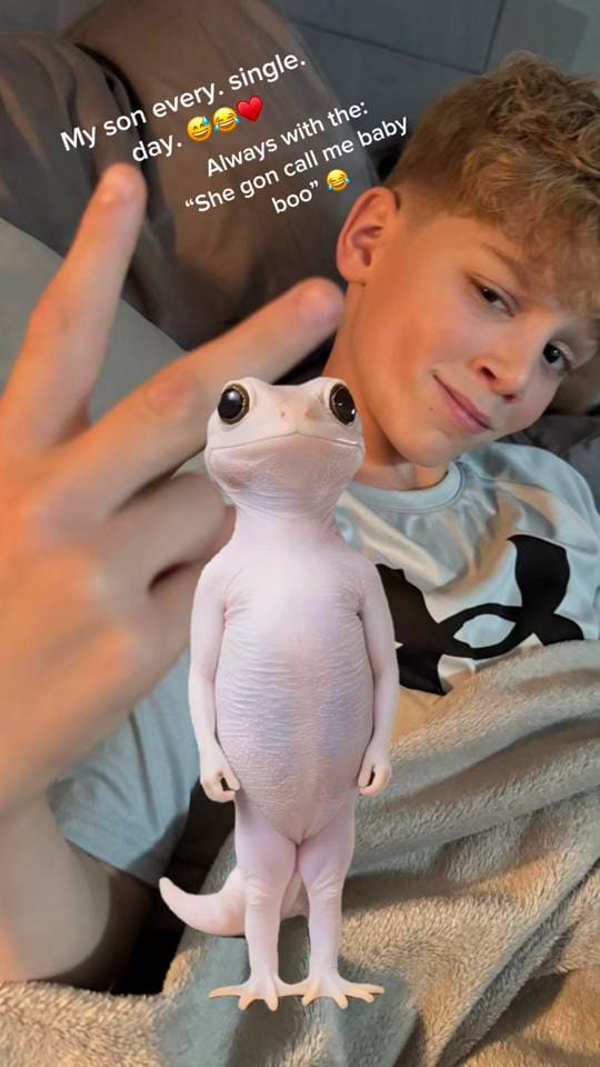 Post 4 by Ashley Lopez on TikTok (video)