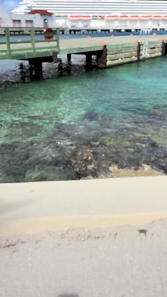 Post 1 by Vickie Lynn on TikTok (video)
