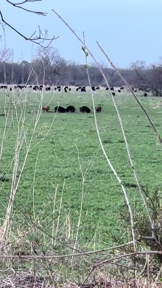 Post 6 by Vickie Lynn on TikTok (video)