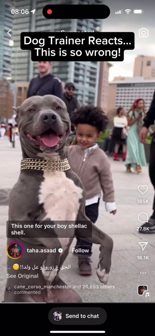 Post 8 by ManchesterK9 Academy on TikTok (video)