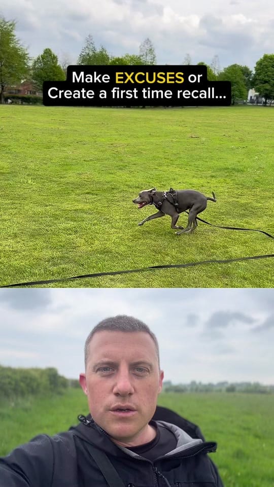 Post 3 by ManchesterK9 Academy on TikTok (video)