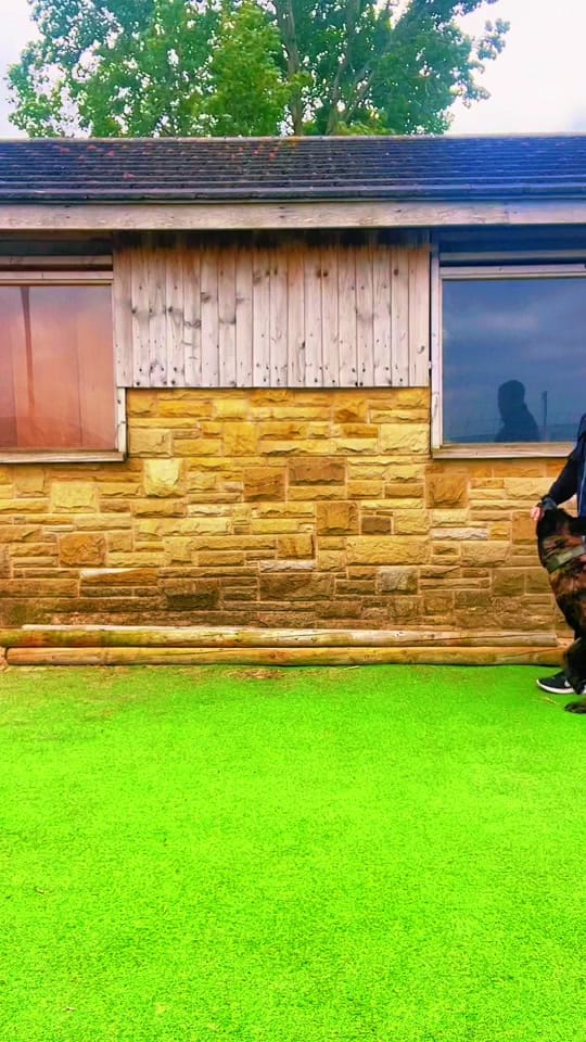 Post 9 by ManchesterK9 Academy on TikTok (video)