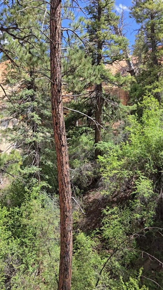 Post 8 by TwistedTea10 on TikTok (video)