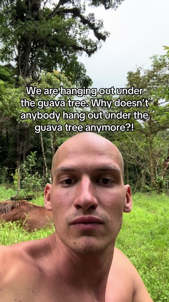 Post 10 by Jungletalk on TikTok (video)