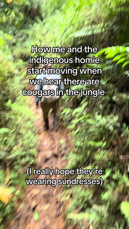 Post 4 by Jungletalk on TikTok (video)