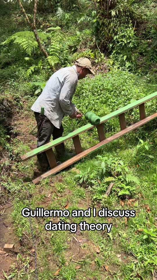 Post 9 by Jungletalk on TikTok (video)