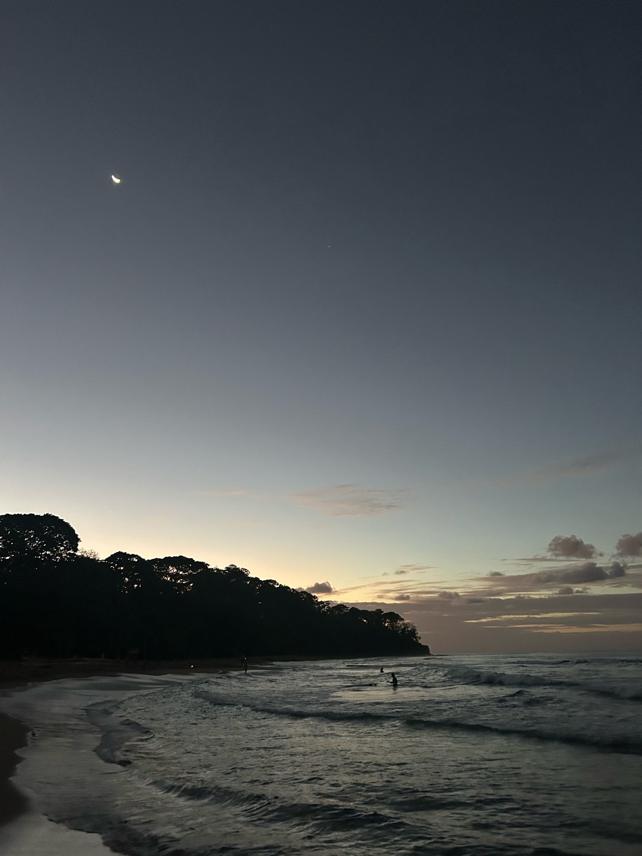 Post 2 by Jungletalk on TikTok (video)