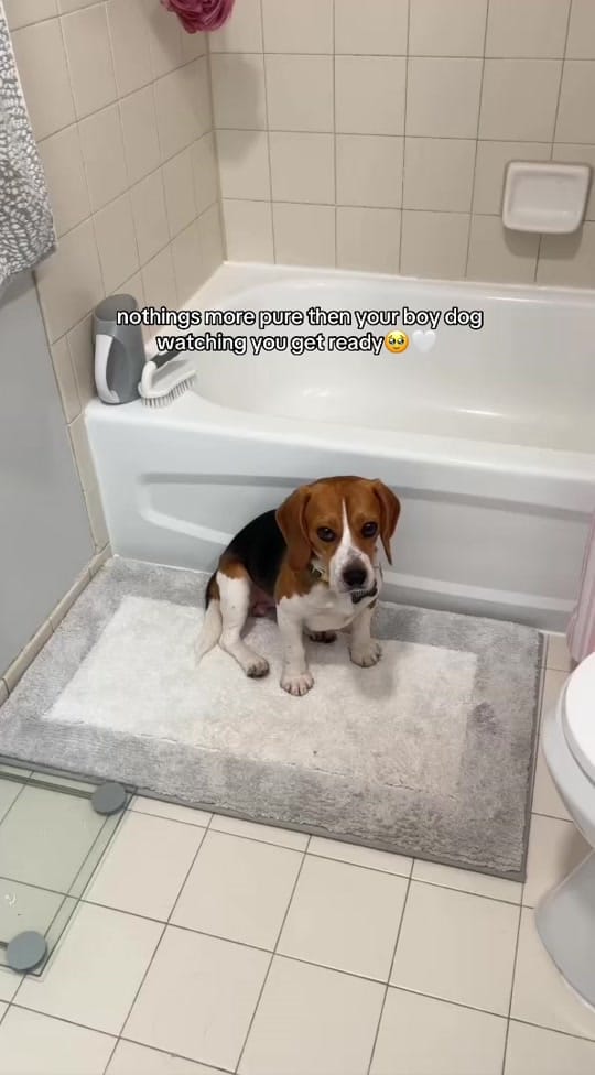 Post 8 by Sophia Castiblanco on TikTok (video)