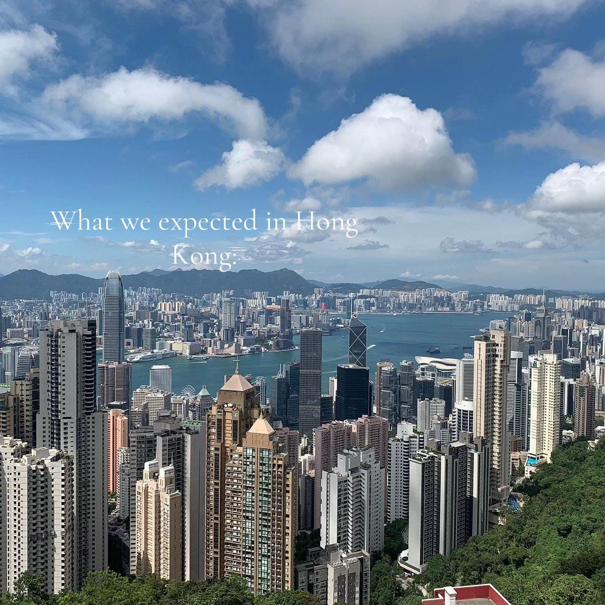 Post 3 by hxlliwilcox on TikTok (video)