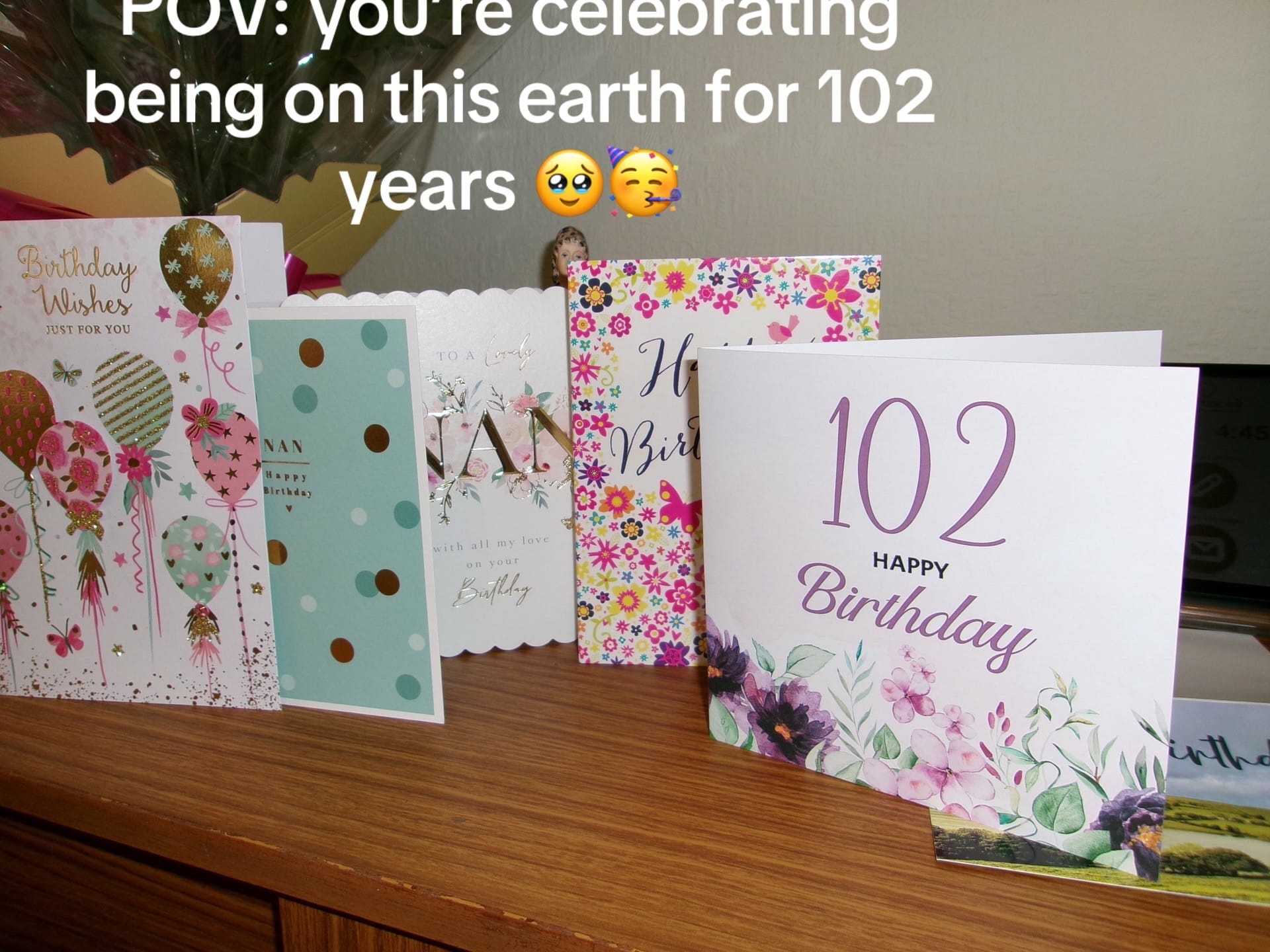 Post 8 by hxlliwilcox on TikTok (video)