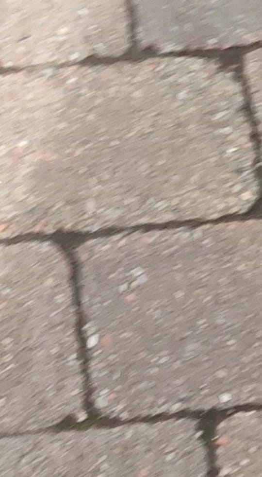 Post 4 by Sasha on TikTok (video)