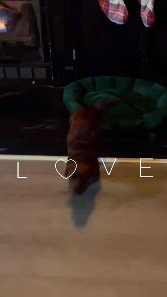 Post 4 by Tish on TikTok (video)