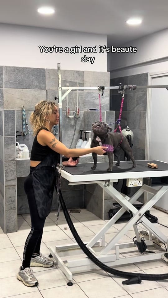 Post 6 by Dietitian's Diary on TikTok (video)