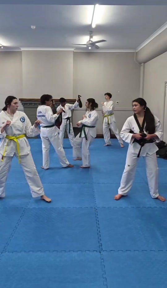Post 1 by Leon Taekwondo Academy on TikTok (video)